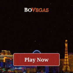 BoVegas casino give new players a secret no deposit bonus.
